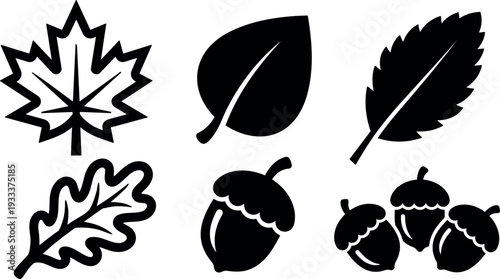 Flat design set of six leaf and acorn silhouettes arranged in two rows vector icon pack simple black white minimal