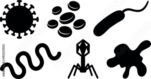 Flat design microscope view of assorted microbes virus bacteriophage bacteria blood cells and amoeba silhouettes isolated on white background vector