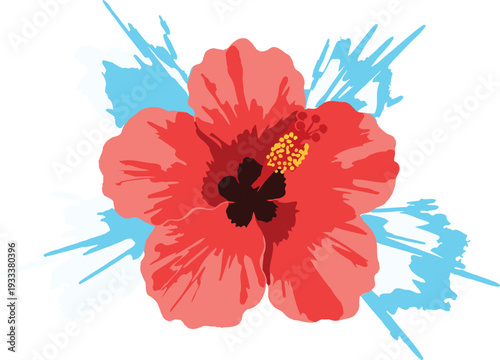 Vibrant pink hibiscus flower with blue leaves on white background