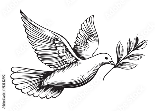 the dove of peace with an olive branch 