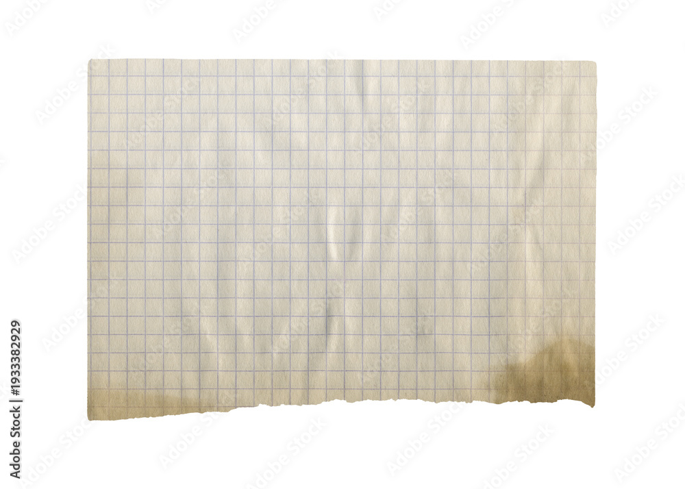 Obraz premium Vintage torn piece of aged checkered paper texture. Burnt squared paper isolated.
