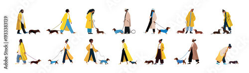 Female yellow coats dog walking flat vector art. Women pet dachshund wearing caps blue sweaters going street mascot owner modern character keeping animal isolated white background
