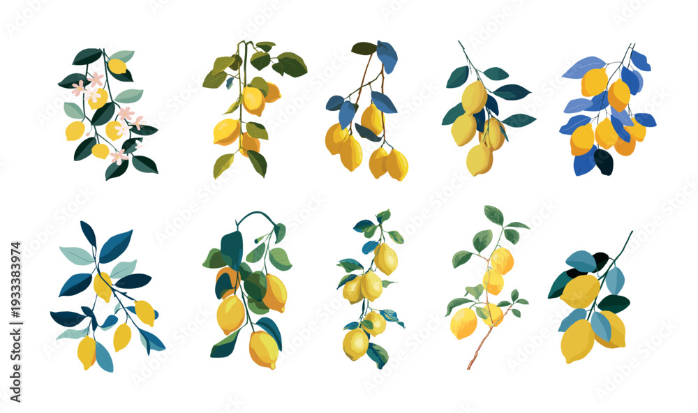 Fototapeta premium Lemon branch leaves flat vector concept. Citrus blossom harvest agriculture nature sticks growing fresh fruit vitamins organic farm product food plants in garden isolated on white background