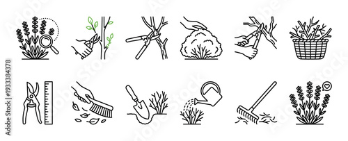 Gardening and pruning line icon set showing plant care activities like trimming, watering, and shaping, with tools such as shears, loppers, and a trowel, isolated on white background