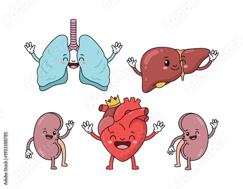 Kawaii style human internal organs with happy faces and waving hands. Including lungs, liver, kidneys, and heart wearing a crown