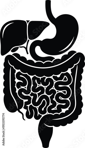 Human digestive system silhouette vector illustration, anatomical organ design, stomach and intestines artwork, biology education concept, medical diagram, health science symbol