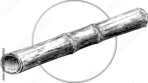 A detailed illustration of a piece of bamboo, drawn in black and white with a circular outline