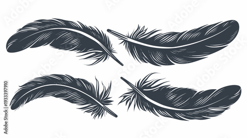 Four stylized illustrations of feathers, in a muted dark gray hue, arranged on a bright white background