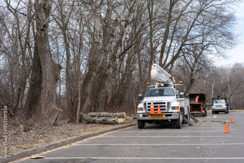 Fotografie Tree trimming service trucks and professional equipment working in a public park