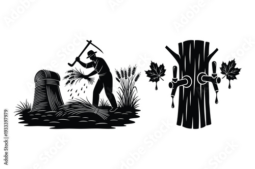 Farmer Harvesting Wheat near Beer Taps