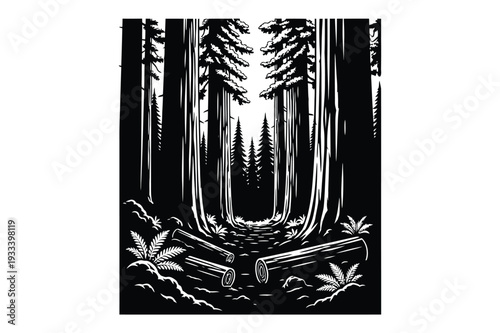 Black and white forest path with logs and ferns illustration