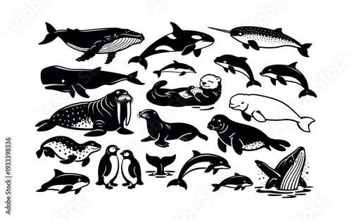 Collection of various marine mammals and aquatic animals in a bold black and white graphic style, representing ocean wildlife
