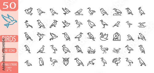 Bird line icon set with eagle, parrot, penguin, owl, swan, flamingo, duck, peacock, sparrow, pigeon, woodpecker, chicken, crane, stork, ostrich, turkey more vector illustration editable stroke.