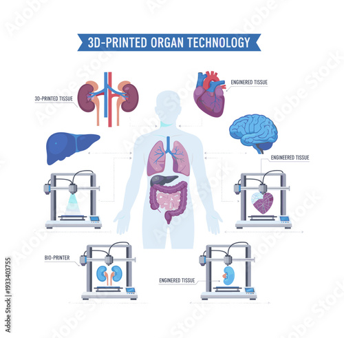 Bio-printer creating artificial organs and body parts like heart, kidney, liver, lung, and intestines