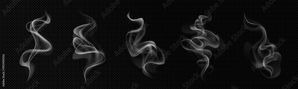 Fototapeta premium Set of vector realistic smoke, steam, aroma effects on a dark transparent background.