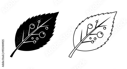 Leaf with holes design Vector