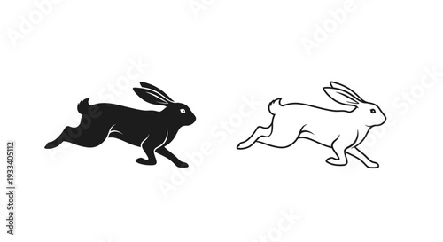 Two rabbits running fast Vector