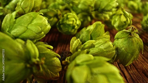 Slow motion of fresh green hops cones falling onto a wooden surface. Ideal for beer, brewing, or agricultural themes. Filmed on high speed cinema camera.