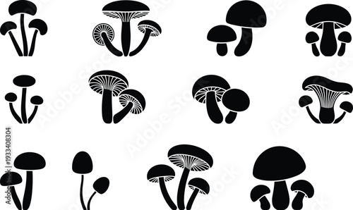 Mushroom silhouette collection, edible fungi icons, forest botanical elements, wild organic nature vector set, autumn seasonal garden design assets.