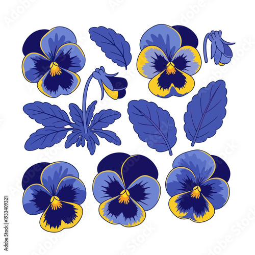 Blue Pansy Flowers and Leaves Illustration Set