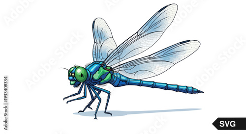 Detailed illustration of a blue and green dragonfly with translucent wings on a white background