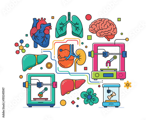 3D printers creating vital human organs like heart, brain, lungs, liver, kidneys, and bones using advanced bioprinting technology
