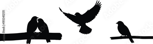 silhouette of a bird