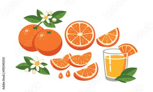 Oranges in various forms, including whole fruits, slices, juice in a glass, blossoms, and leaves, illustrating freshness