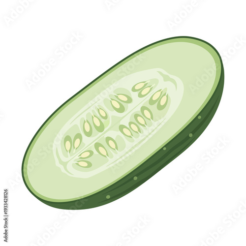 A detailed illustration of a cross-section of a fresh, green cucumber, showcasing its seeds and watery interior.