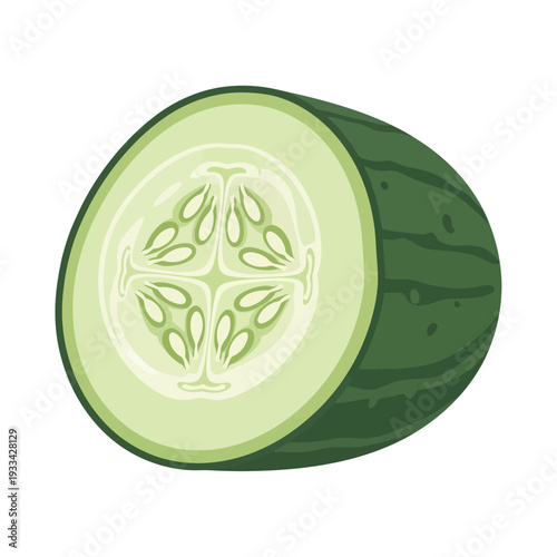 A cross-section of a fresh, green cucumber showing its internal structure with seeds.