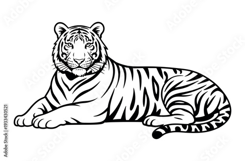 A black and white illustration of a tiger lying down and looking forward.
