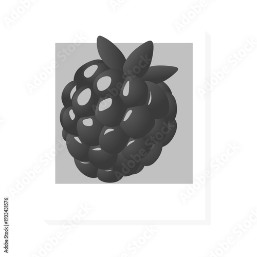 raspberry monochrome photo frame