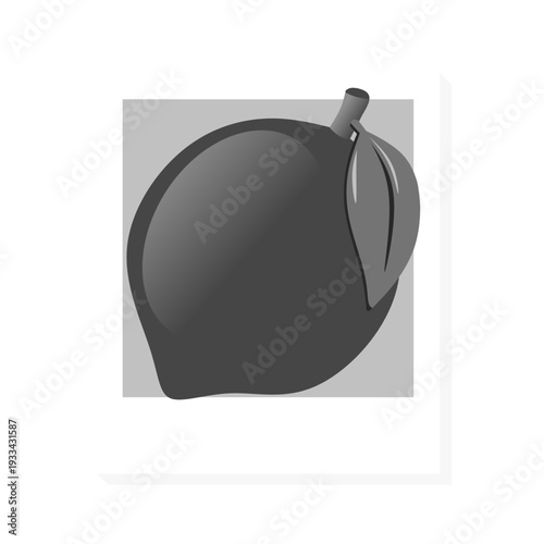 lemon fruit monochrome in photo frame