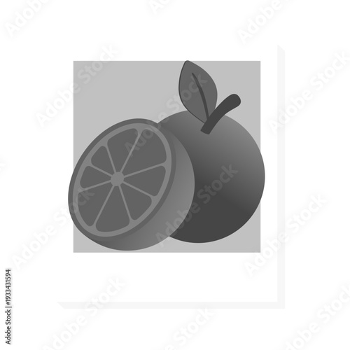 vector illustration of an orange fruit in a frame