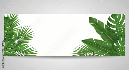 Green botanical leaves, palm trees, monstera on white background. Vector horizontal banner with tropical foliage