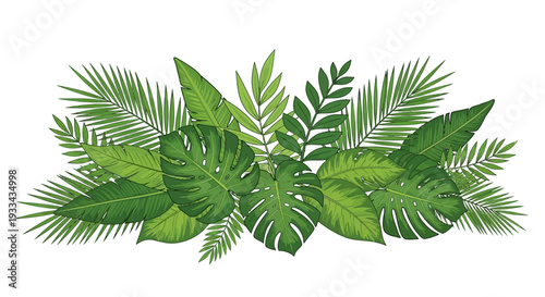 Green botanical leaves, palm trees, monstera on white background. Vector horizontal banner with tropical foliage