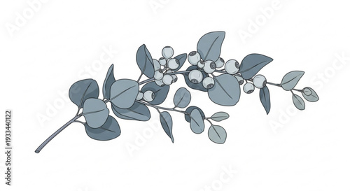 Elegant eucalyptus branch with mistletoe illustration soft blue green leaves and white berries delicate botanical art perfect for wedding decor inspiration