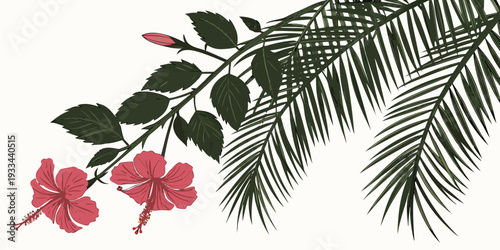Tropical hibiscus flowers and palm leaves illustration, vector