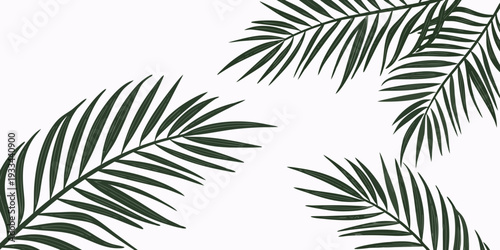 Elegant dark green palm leaves are featured in this, vector