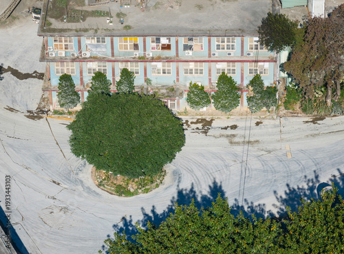 Large Tree and Dust Covered Ground in Cement Factory