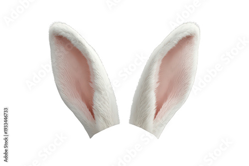 White fluffy bunny ears with pink inside, representing easter, animals, spring, and celebration, isolated on transparent background