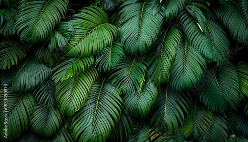 lush tropical plants wall green foliage