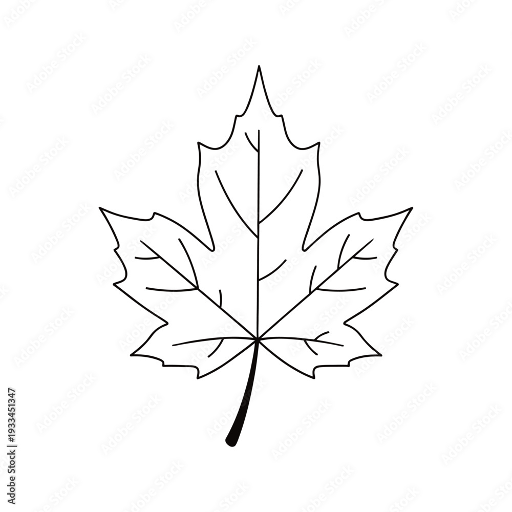 Obraz premium Simple outline of a maple leaf against a plain white background