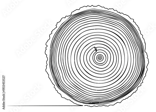 Hand drawn line art illustration of a tree trunk cross-section depicting annual growth rings for nature and forestry concepts
