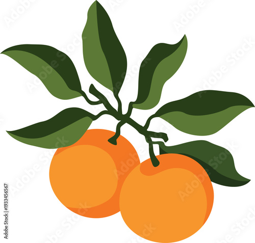 Fresh orange fruit single two leaves branch ripe citrus vector illustration simple style isolated white background healthy food juice graphic design packaging advertising element