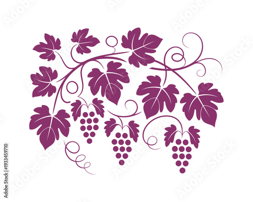 A stylized illustration of grapevine leaves and clusters of grapes in a deep purple hue on a white background