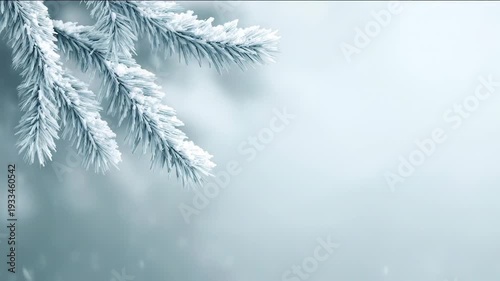 Winter Scene Snow-covered branches set against vibrant snowy snow flakes blue sky