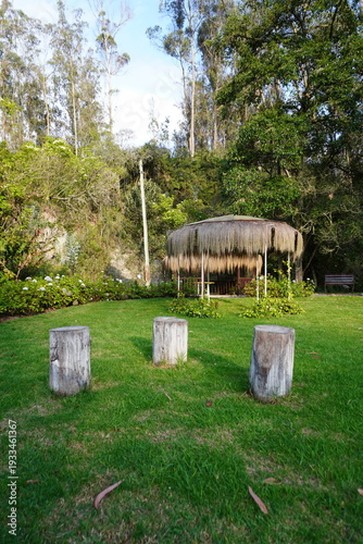 troncos de madera en jardín