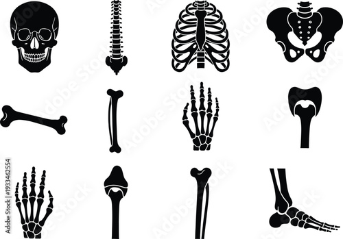 Collection of black silhouette icons representing various parts of the human skeletal system