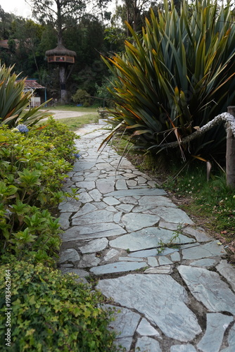 sendero en piedra con plantas